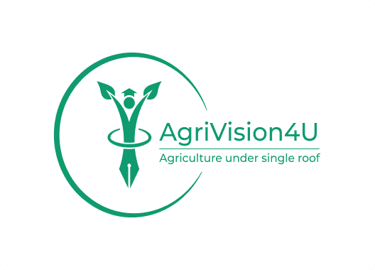 Other project 3 preview